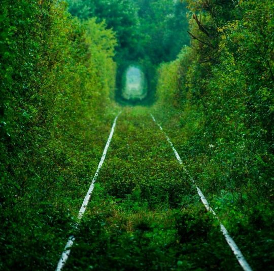 tunnel of love © freestate